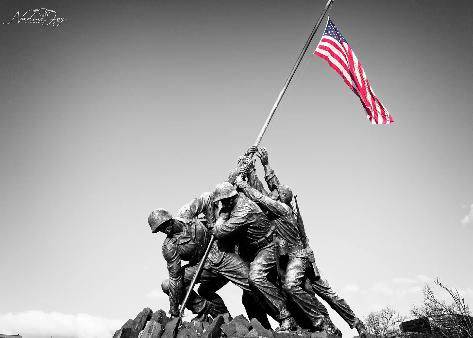 L1000382_bw