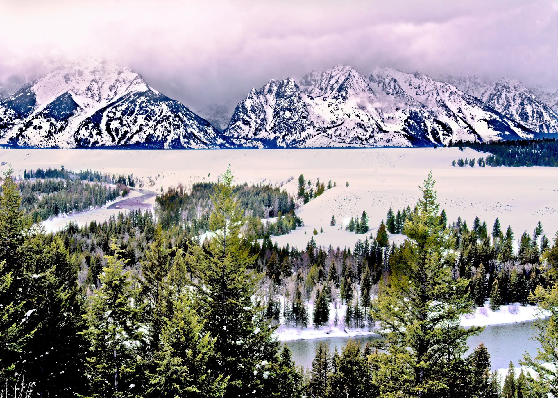 gallery_page_img29